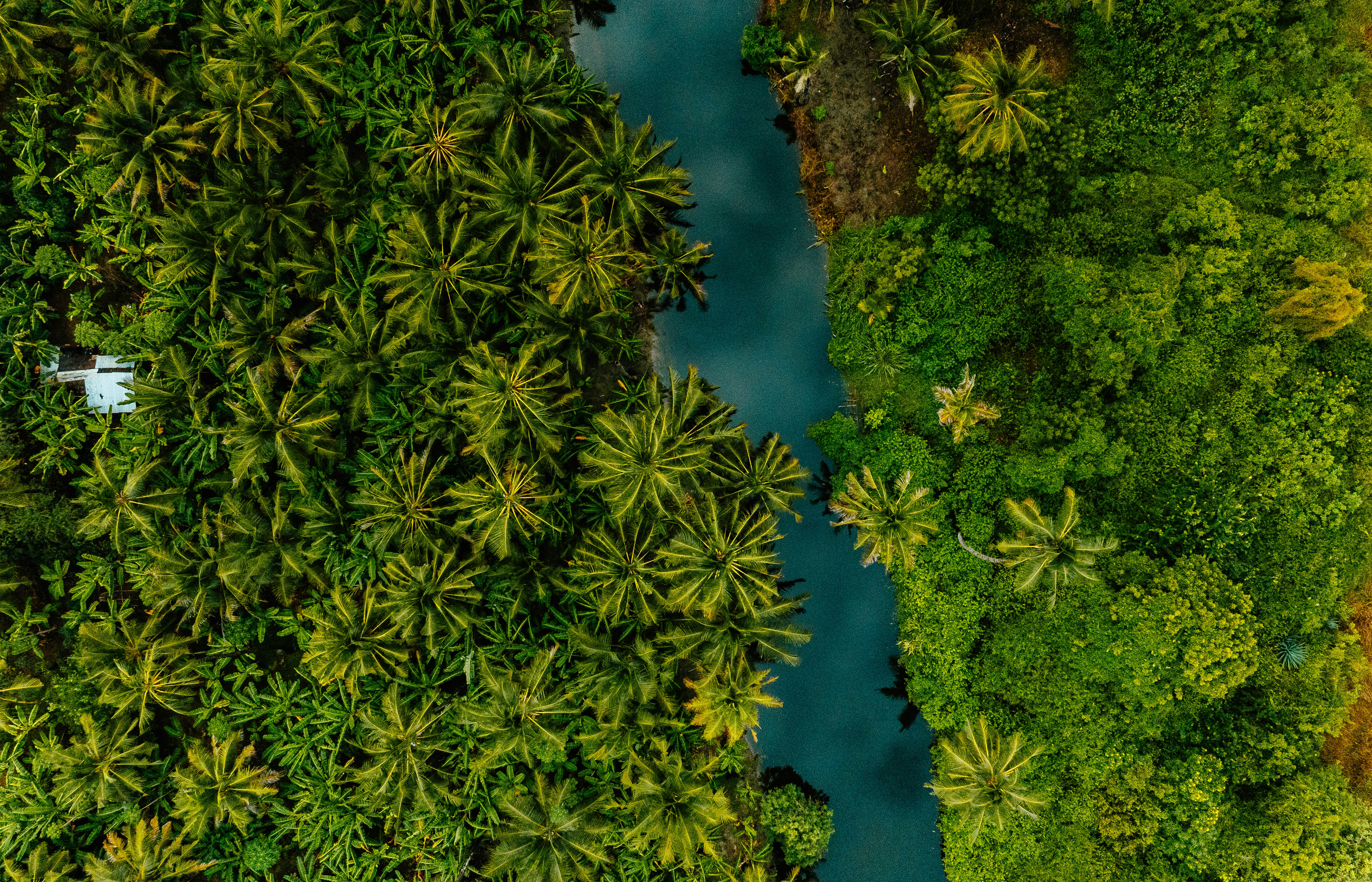 River flowing between the road