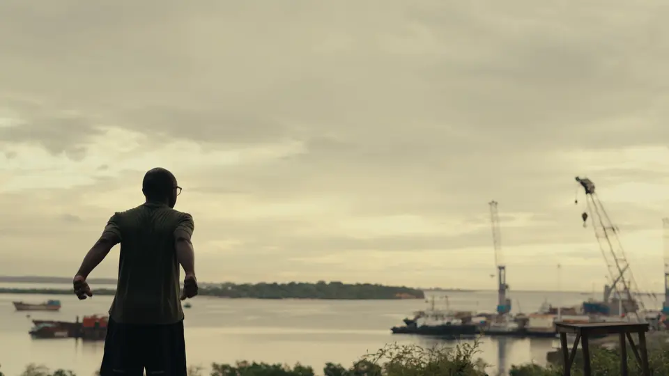 A person stands overlooking an industrial port with cranes and ships by the water under a cloudy sky.